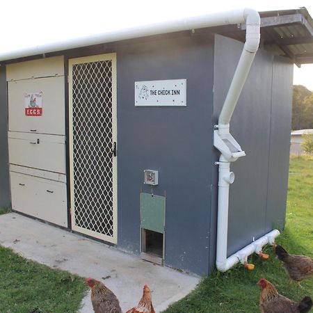 Bryn Glas Farm Stay Moruya Esterno foto