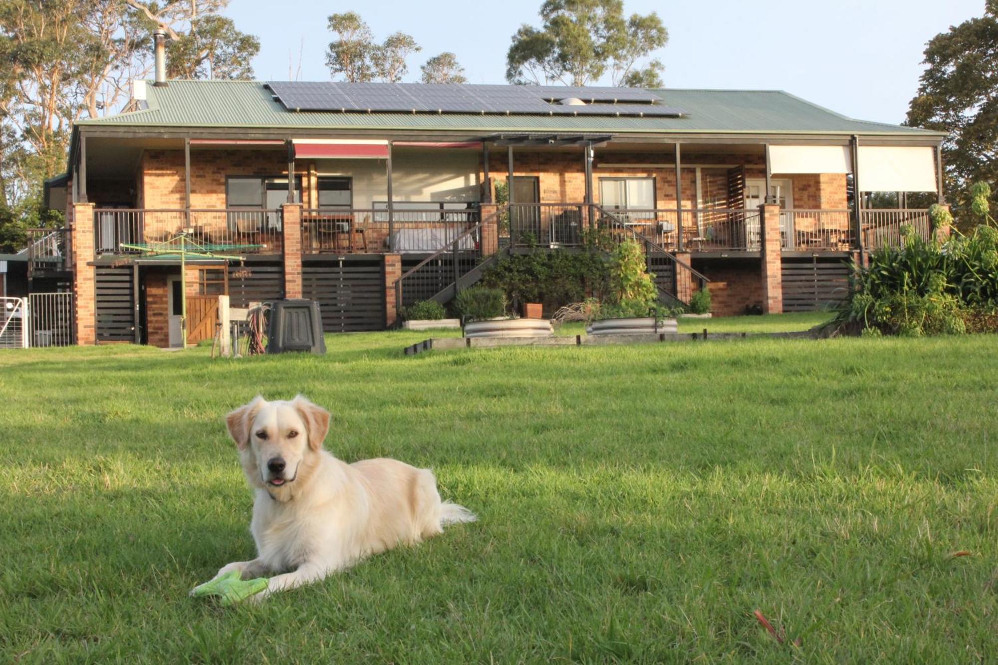 Bryn Glas Farm Stay Moruya Esterno foto