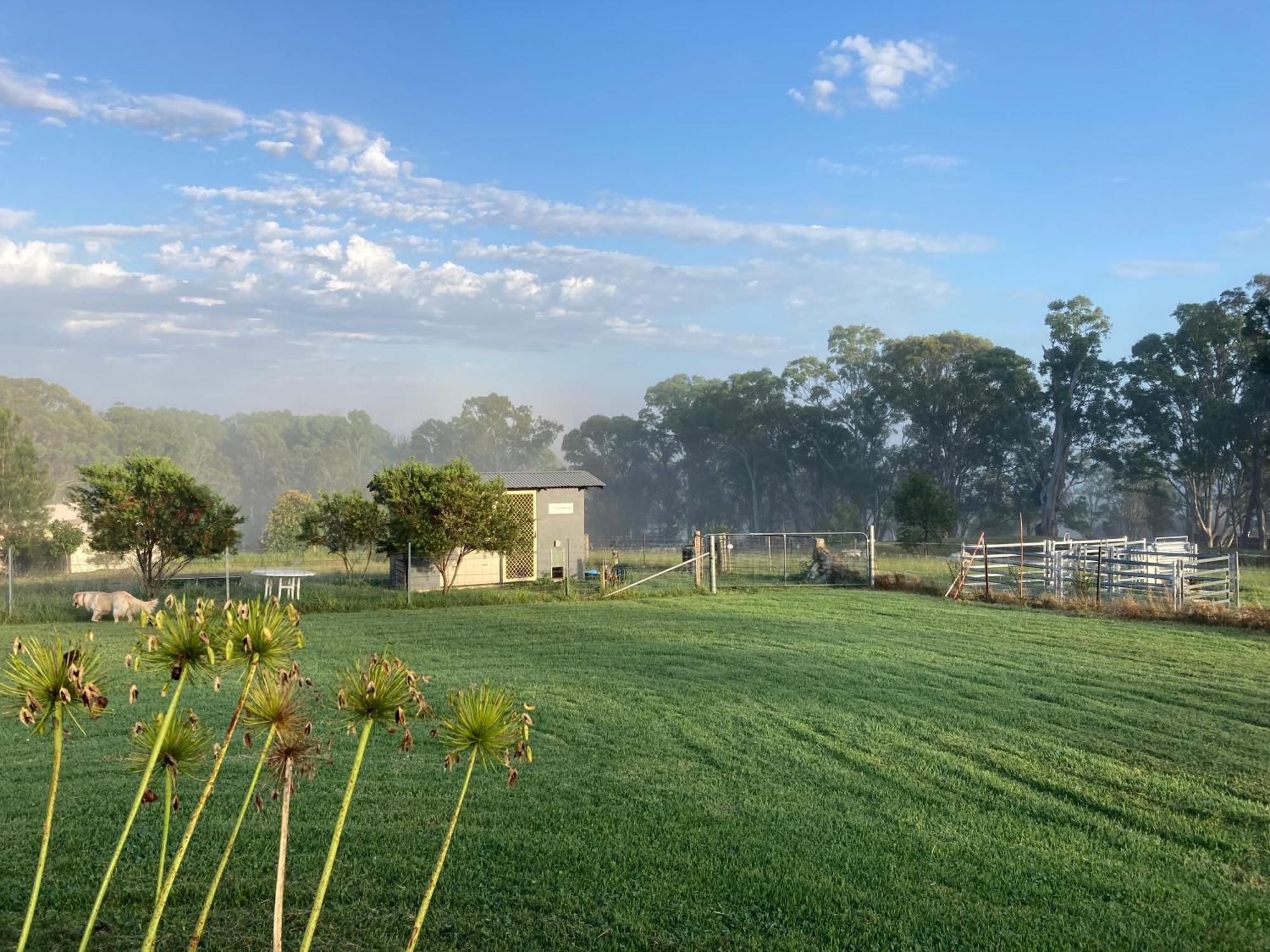 Bryn Glas Farm Stay Moruya Esterno foto