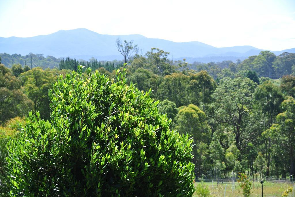 Bryn Glas Farm Stay Moruya Esterno foto