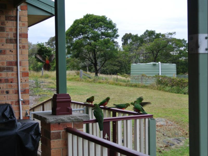 Bryn Glas Farm Stay Moruya Esterno foto