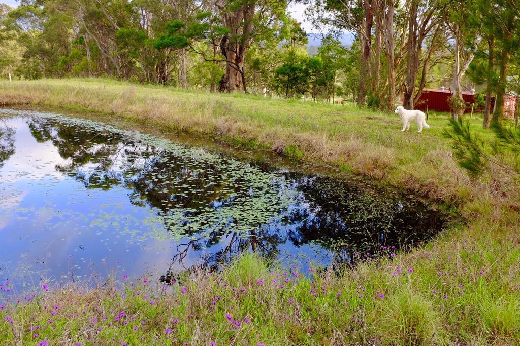 Bryn Glas Farm Stay Moruya Esterno foto
