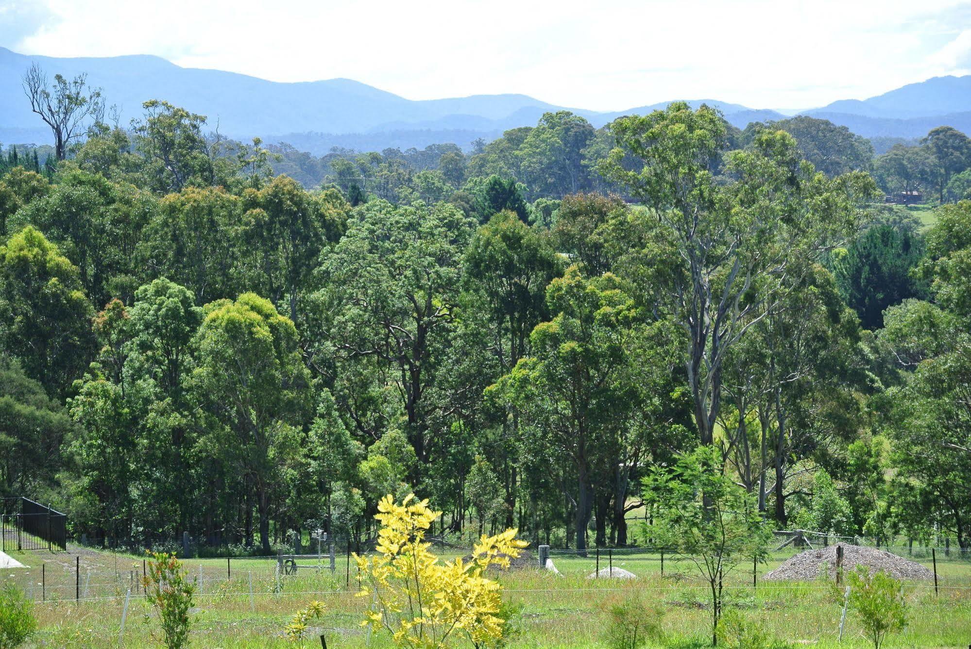Bryn Glas Farm Stay Moruya Esterno foto