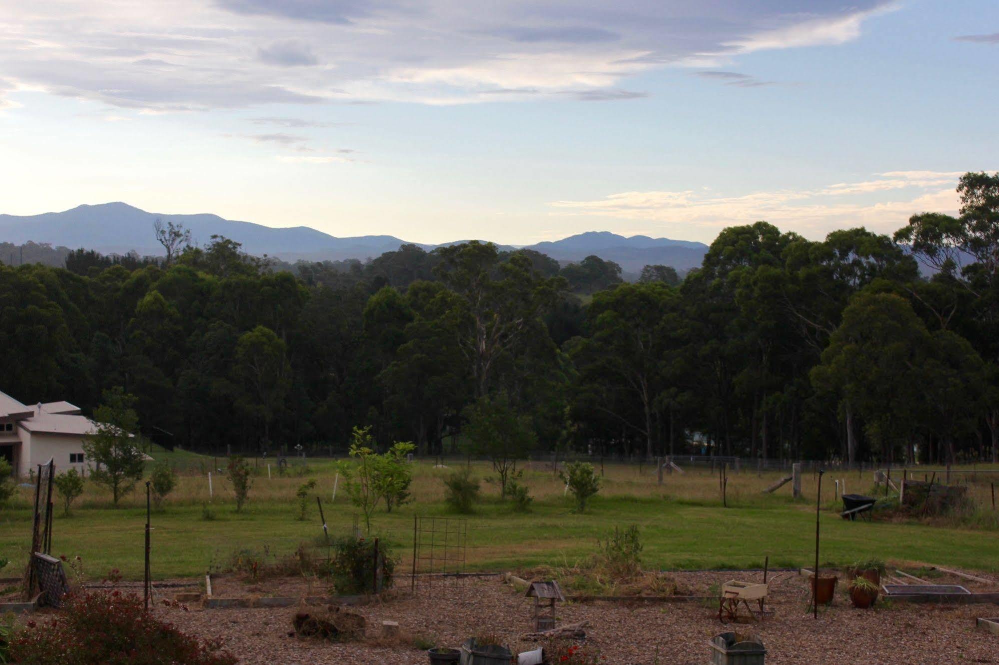Bryn Glas Farm Stay Moruya Esterno foto