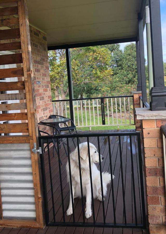 Bryn Glas Farm Stay Moruya Esterno foto